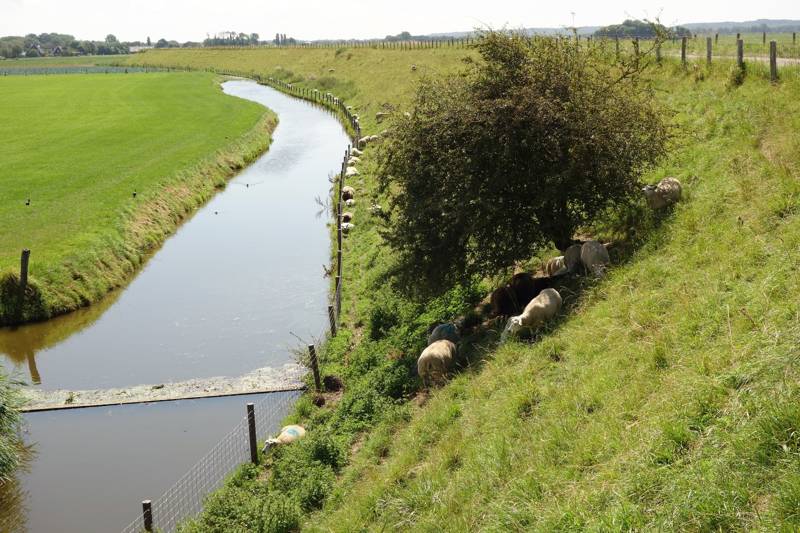 Westfriese_Omringdijk